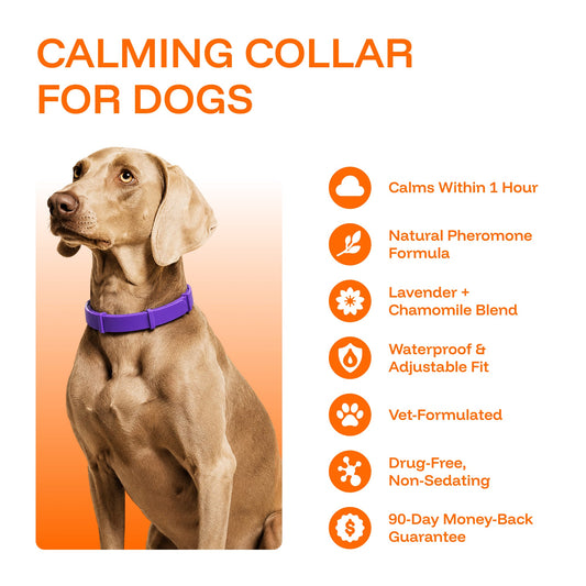 Kocight Calming Collars — image 1