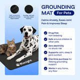 Kocight Grounding Pet Mat Kit
