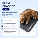 Kocight Grounding Pet Mat Kit