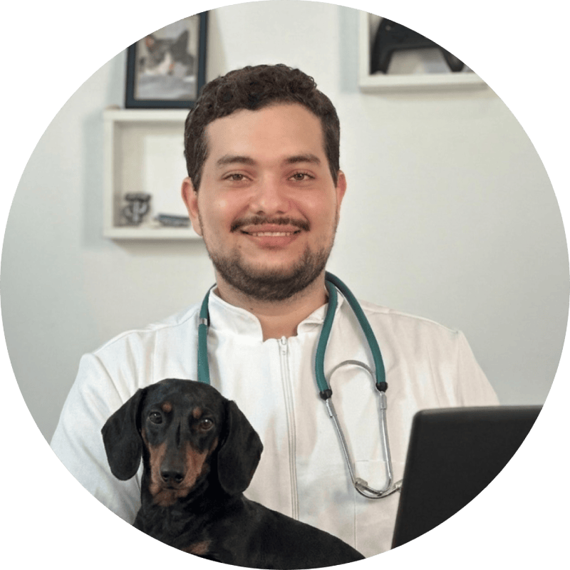 Dr. Mark, veterinary research consultant