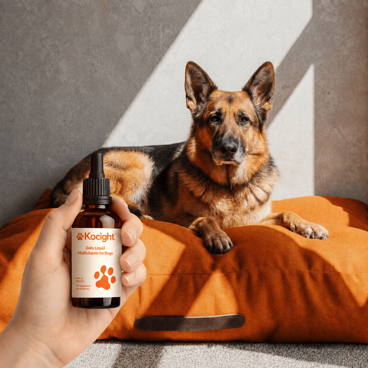 Kocight daily wellness routine